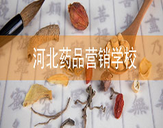 河北藥品營銷學校