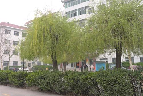 學習高鐵乘務(wù)專業(yè)怎么樣？   