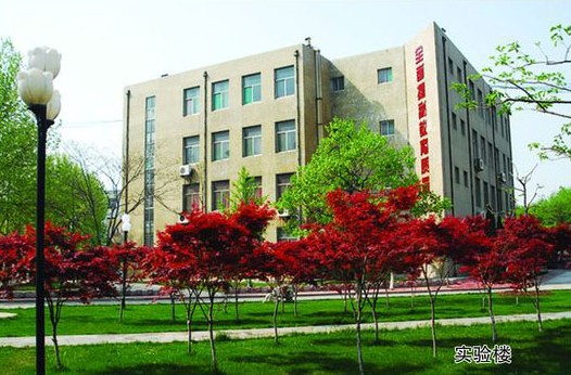 淄博市工業(yè)學(xué)校開(kāi)設(shè)哪些計(jì)算機(jī)課程？