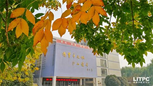 洛陽學電子商務(wù)去哪里？學電子商務(wù)去洛陽哪所學校？