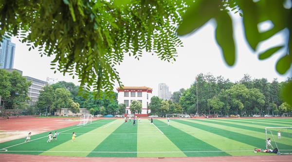 為什么選擇青島滿天星職業(yè)培訓學校？