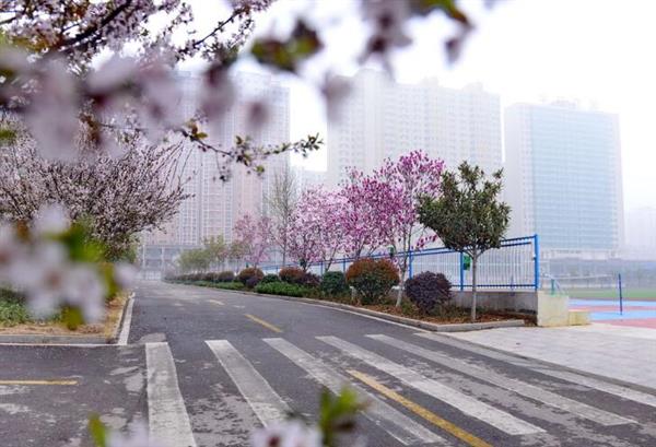 河北大學新世紀函授站成人高考輔導班怎么樣？