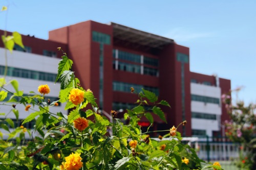通過單招考取大學有哪些優(yōu)勢？