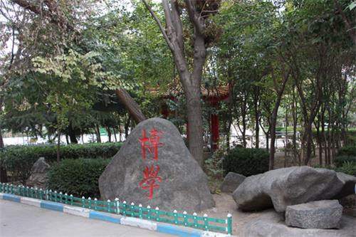  山東人民專修學(xué)院怎樣安排學(xué)生就業(yè)？