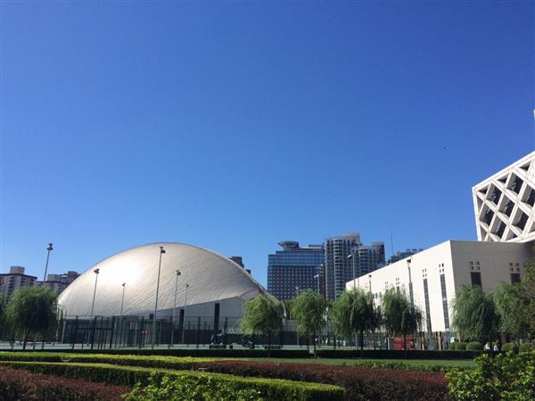 北京國際青年研修學(xué)院都開設(shè)哪些專業(yè)？