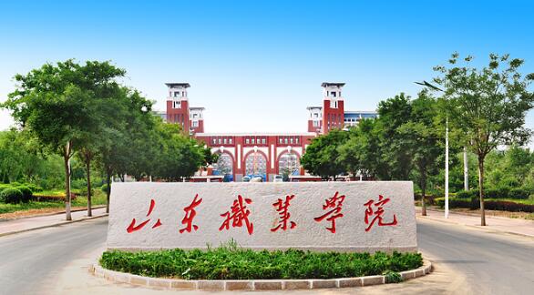 山東職業(yè)學(xué)院有哪些教學(xué)成果？
