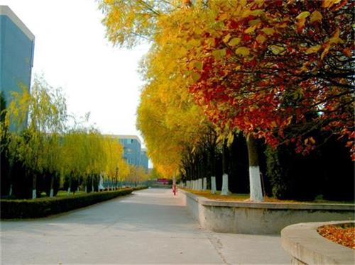 北京現(xiàn)代體育學(xué)院、航空乘務(wù)學(xué)院設(shè)施好嗎？