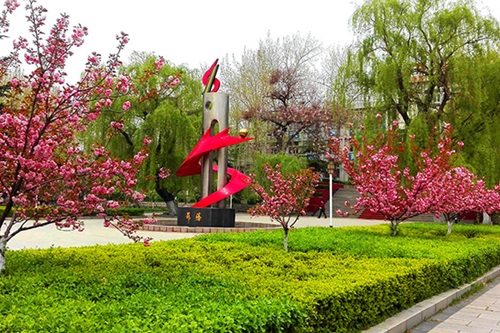 選擇齊魯技術(shù)學(xué)院學(xué)幼師怎么樣？