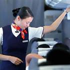 航空服務(wù)（票務(wù)、安檢方向）、航空乘務(wù)定向委培